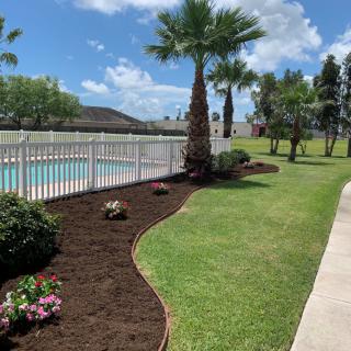 A beautifully landscaped yard with palm trees and a pool under a clear blue sky.