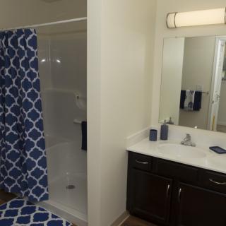 A modern bathroom featuring a shower with a blue patterned curtain and a sink with a large mirror.
