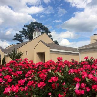 A charming house with a lush garden of vibrant red roses under a partly cloudy sky.