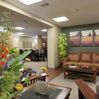 A cozy office lobby with comfortable seating, decorative plants, and artwork on the walls.