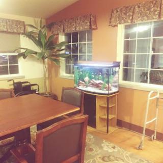 A cozy living area featuring an aquarium, a table with chairs, and large windows letting in natural light.