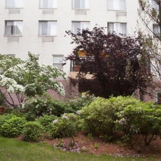 A lush garden with a variety of bushes and trees in front of a multi-story building.