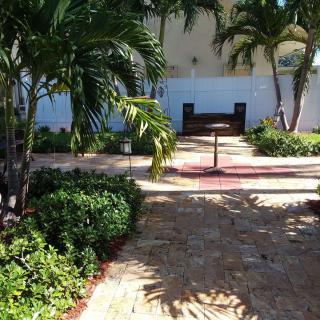 A tranquil garden pathway lined with palm trees and lush greenery.