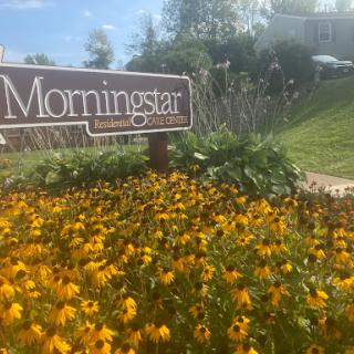 A sunny view of the Morningstar sign surrounded by vibrant yellow flowers.