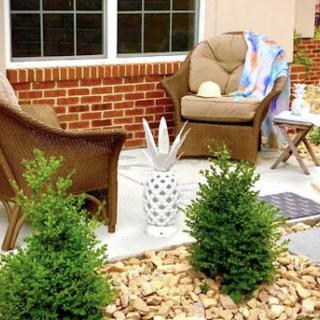 A cozy outdoor patio setup featuring lounge chairs, decorative plants, and a playful pineapple accent.