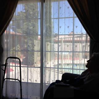 A silhouette of an elderly person sitting inside, looking out a window with sheer curtains.