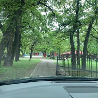 View from a car driving through a gated driveway surrounded by trees.