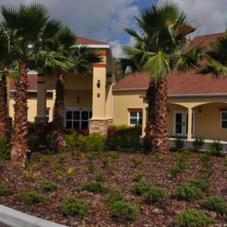 A sunny view of a building surrounded by palm trees and well-maintained landscaping.