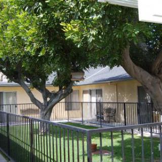 A residential area with trees and a fenced yard.