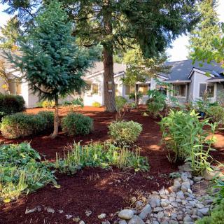 A beautifully landscaped garden with trees, bushes, and fresh mulch.