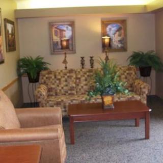 A cozy living room with a patterned sofa, armchair, coffee table, and decorative plants.