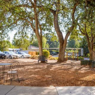 A peaceful outdoor area with trees providing shade over parked cars and scattered chairs.