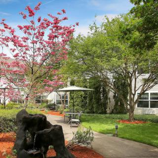 A serene garden scene with blooming trees and a peaceful pathway.