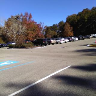 A parking lot surrounded by trees showcasing autumn colors under a clear blue sky.