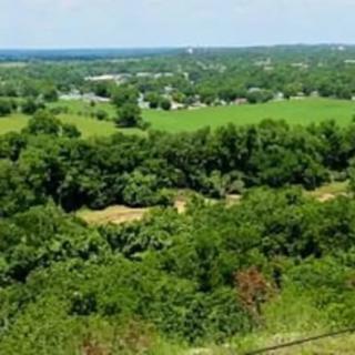 A scenic view of lush green landscape with dense trees and open fields.