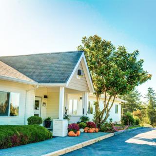 A sunny view of a residential house with trees and landscaping.