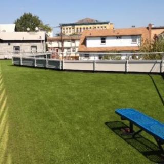 A rooftop garden with a grassy area and a blue bench, surrounded by urban buildings.