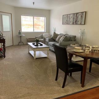 A cozy living room with a sofa, coffee table, dining table, and chairs.
