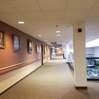 A well-lit hallway featuring decorative paintings along the walls and carpeted flooring.