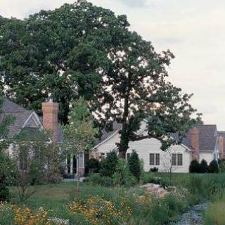 A suburban house surrounded by trees and greenery.
