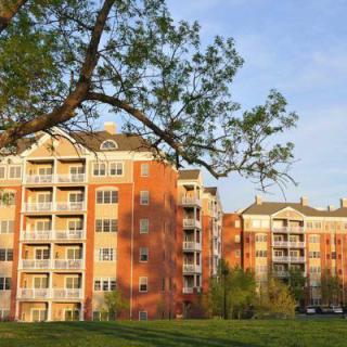 A view of residential apartment buildings with trees in the foreground during sunset.