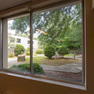 View through a window showcasing a garden with trees and bushes.