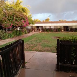 A serene courtyard scene with greenery and a pathway leading towards a building.