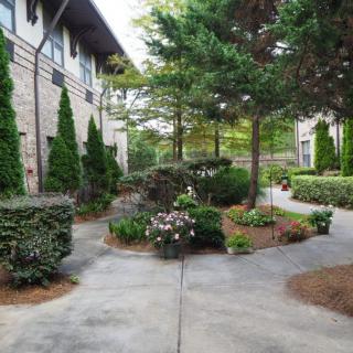 A well-maintained garden path surrounded by greenery and shrubs.