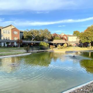 A serene park with a pond, surrounded by trees and buildings under a blue sky.