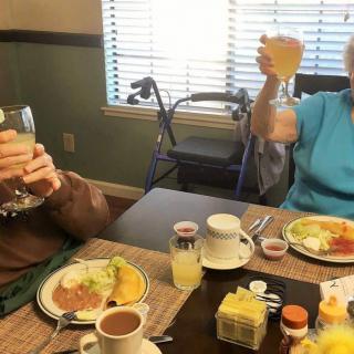 Elderly individuals enjoying a meal and making a toast indoors.