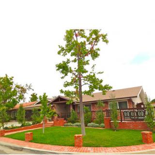 A suburban house with a well-maintained lawn and trees, surrounded by a brick fence.