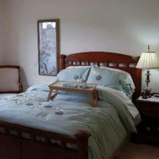 A cozy bedroom with a neatly made bed, a bedside table with a lamp, and soft lighting.