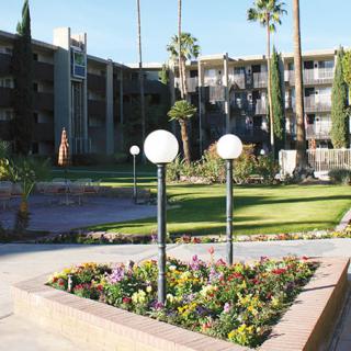 A well-maintained apartment complex with landscaped gardens and palm trees.