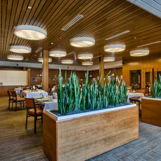 Modern restaurant interior with wooden decor and indoor plants.