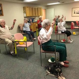 A group of seniors engaging in a seated exercise session indoors.