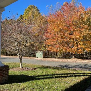 A scenic view of colorful autumn trees under a clear blue sky.