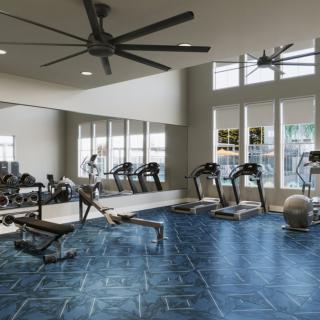 A modern gym equipped with treadmills and weights.