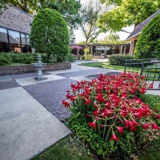 A scenic garden with vibrant red flowers and a well-maintained pathway surrounded by lush greenery.