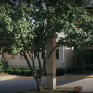 A tree stands near the entrance of a building.
