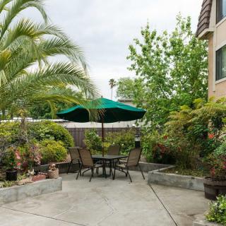 A cozy patio with outdoor seating surrounded by lush greenery and a large umbrella.