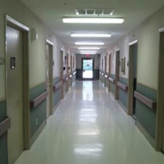 A clean and empty hospital corridor lined with doors on both sides.