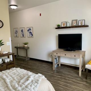 A cozy living room with a TV, wooden furniture, and decorative elements including wall art and indoor plants.