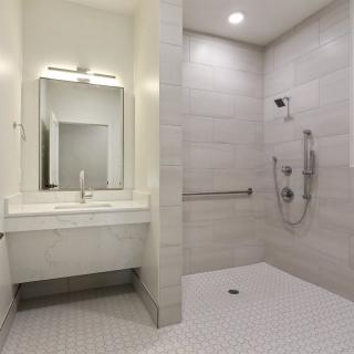 A modern, accessible bathroom with a walk-in shower and handrails.