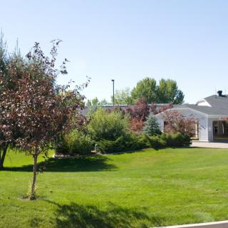 A beautiful house with a lush green yard and various trees.