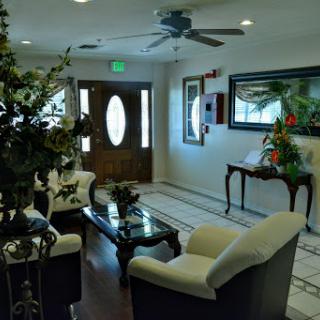 A cozy and modern living room with elegant furniture and decorative plants.