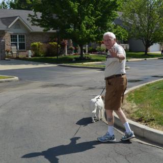 An elderly man walking his dog in a residential neighborhood on a sunny day.