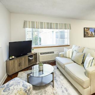 A cozy living room with a sofa, television, and coffee table near a window with curtains.