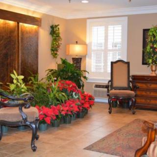A cozy living room with elegant furniture and abundant plants.