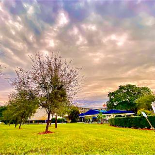A serene outdoor scene with vibrant greenery and dramatic clouds.