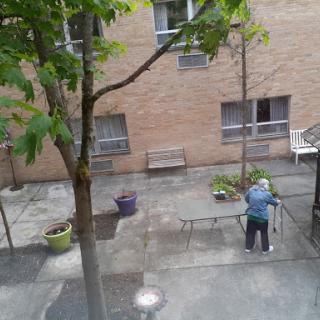 A person tending to plants in a quiet courtyard surrounded by brick walls.